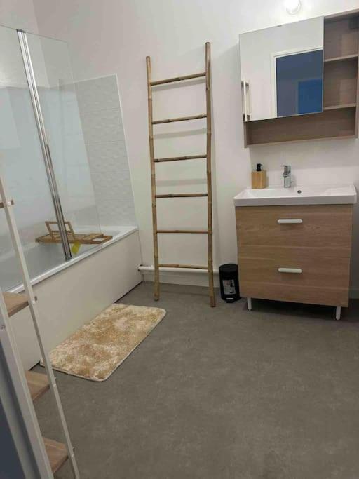 Apartment Appt Spacieux Et Calme Prox Disney-cdg-stade De France Le Blanc-Mesnil